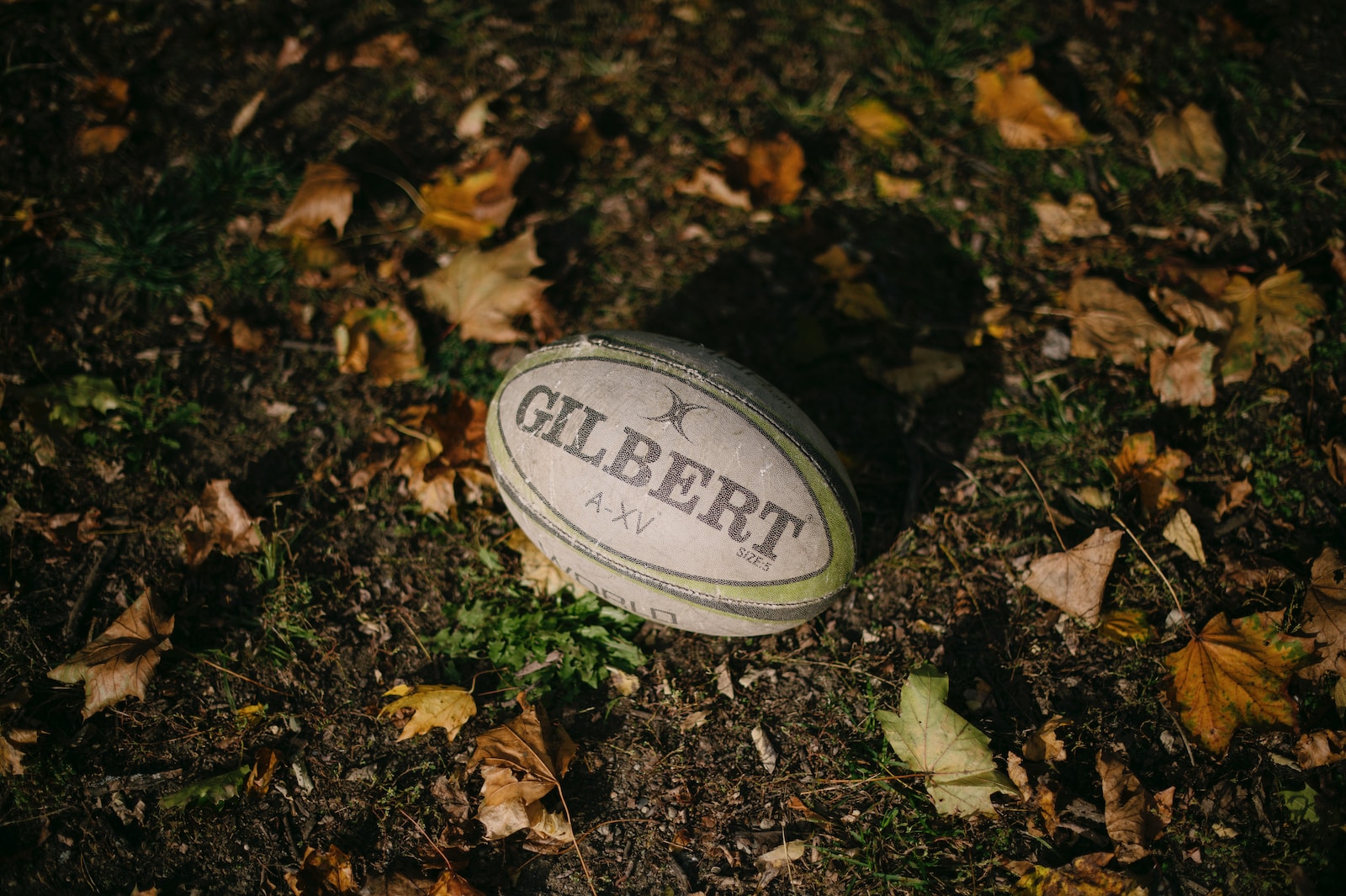 a rugby ball laying on the ground surrounded by leaves